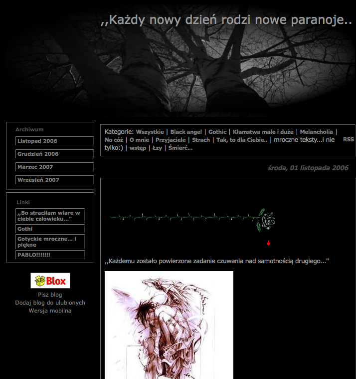 Jak wyglądały dziewczęce blogi 15 lat temu