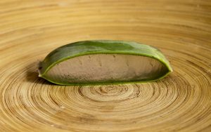 aloes