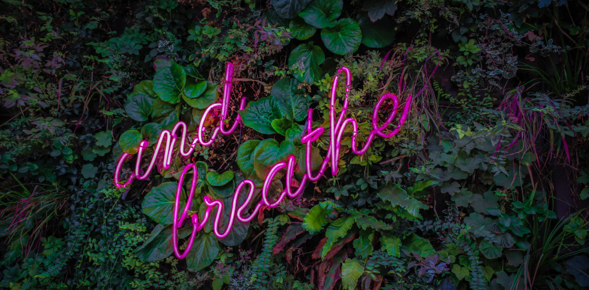 oczyszczacz powietrza z nawilżaczem