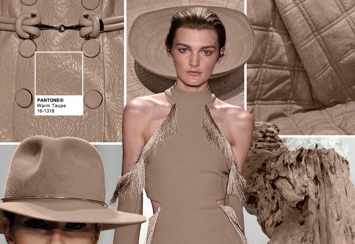 kolor-taupe-co-to